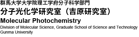 Molecular Photochemistry｜Division of Molecular Science, Graduate School of Science and Technology, Gunma University